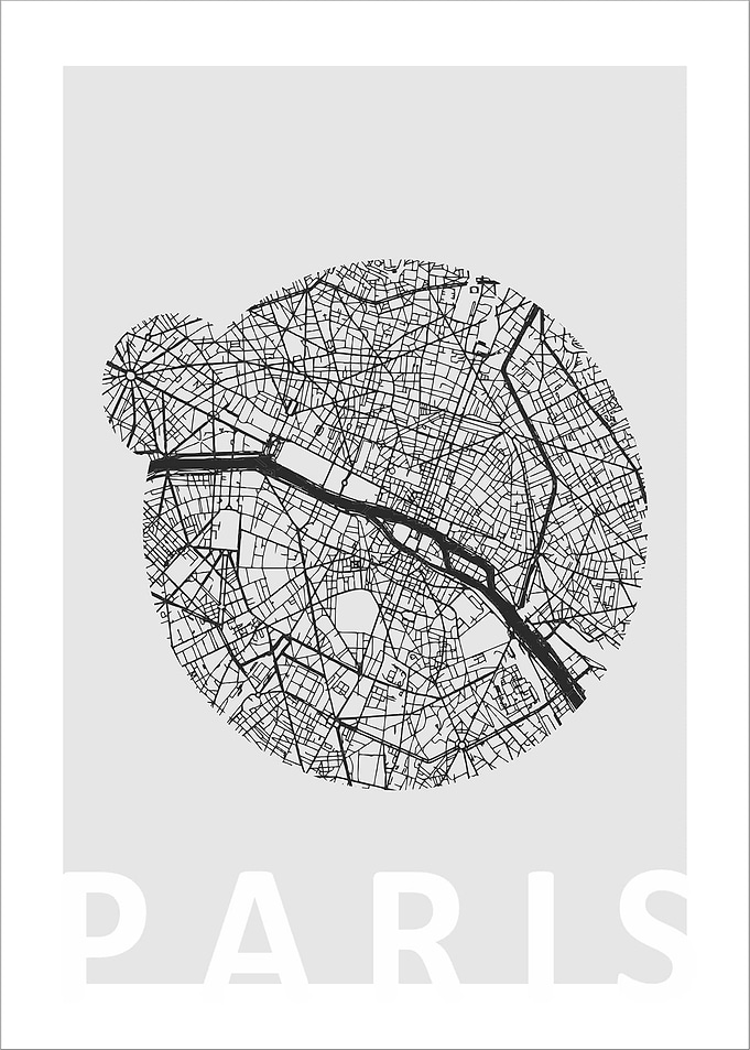 Paris BLACK CACTUS