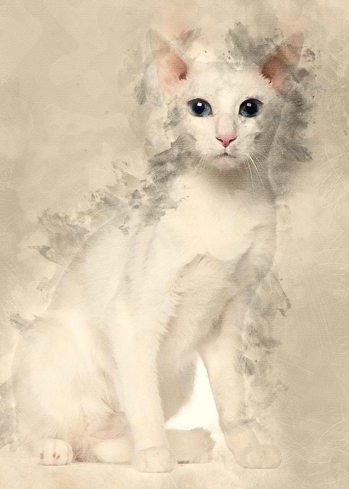 Portrait of Oriental Short