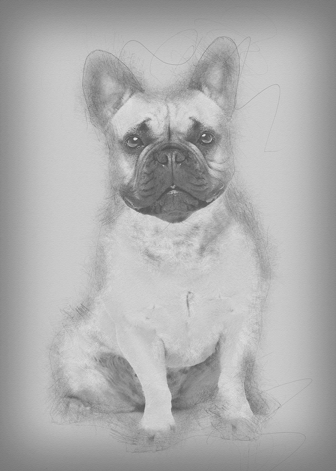 Portrait of beautiful youn