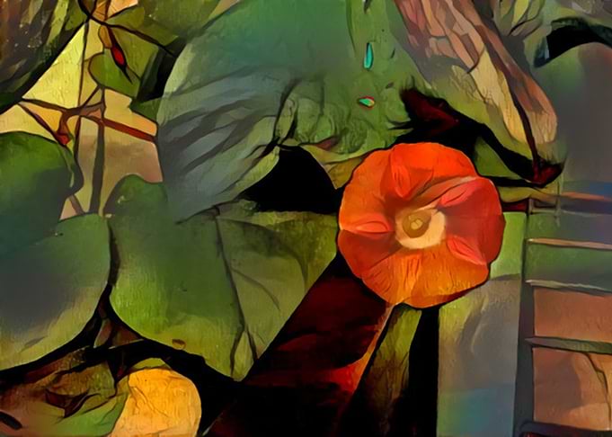 Abstract Morning Glory