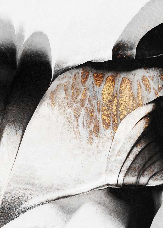 Black And Gold Veins
