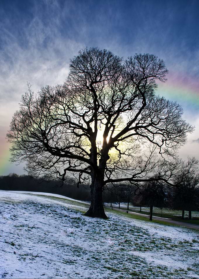 Winter Sun And Raindbow