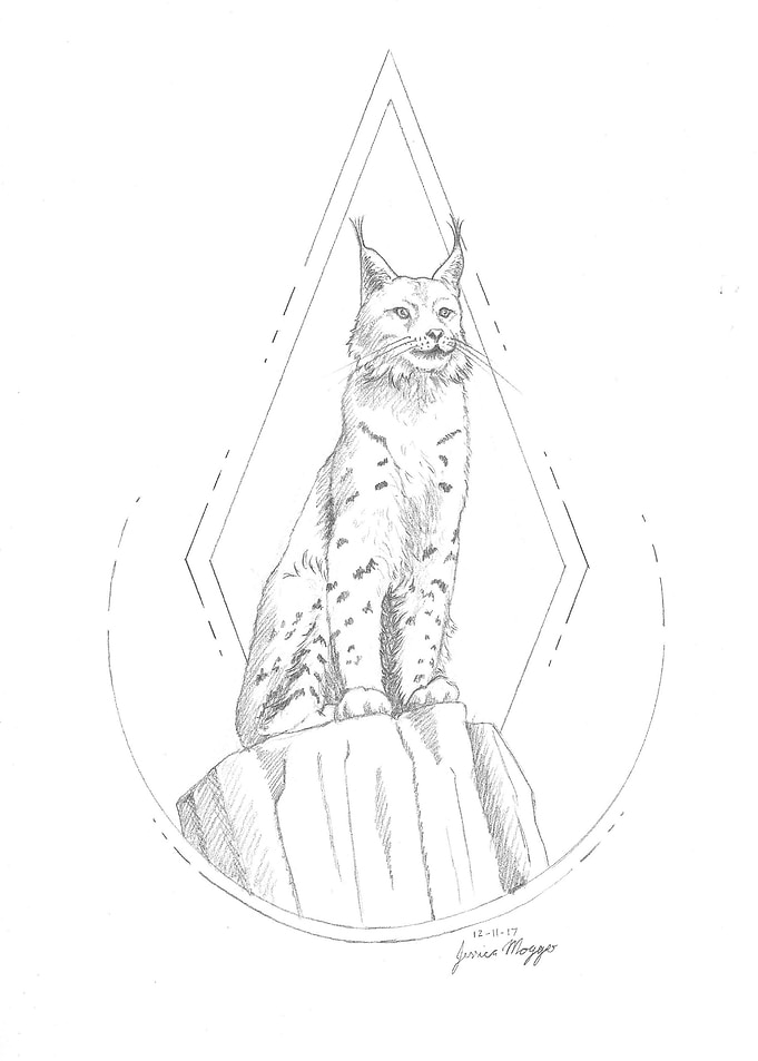 Lynx