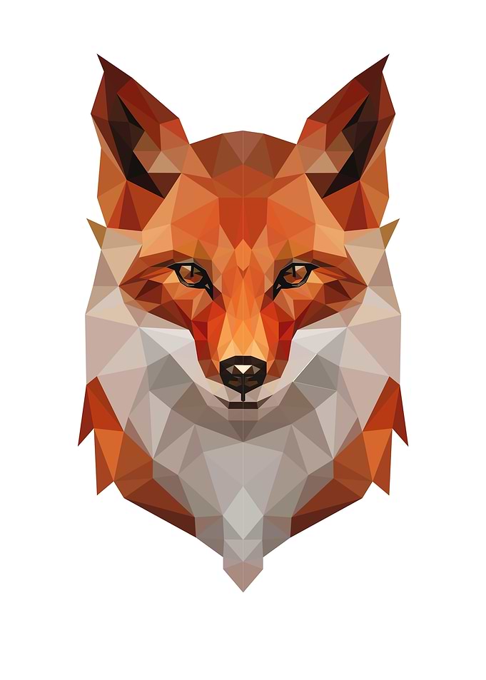 fox modern abstract art