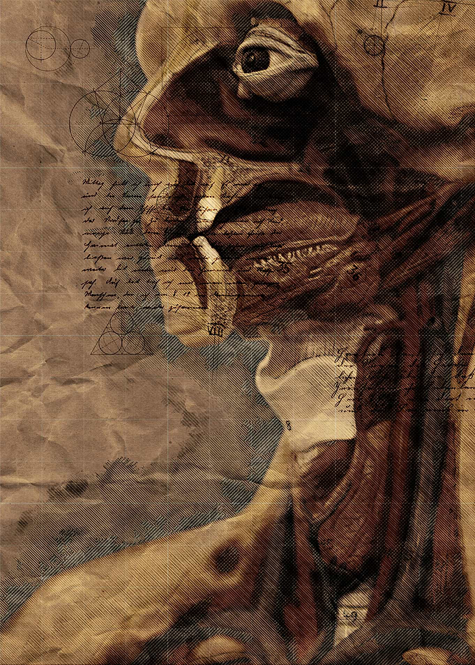 Head 1