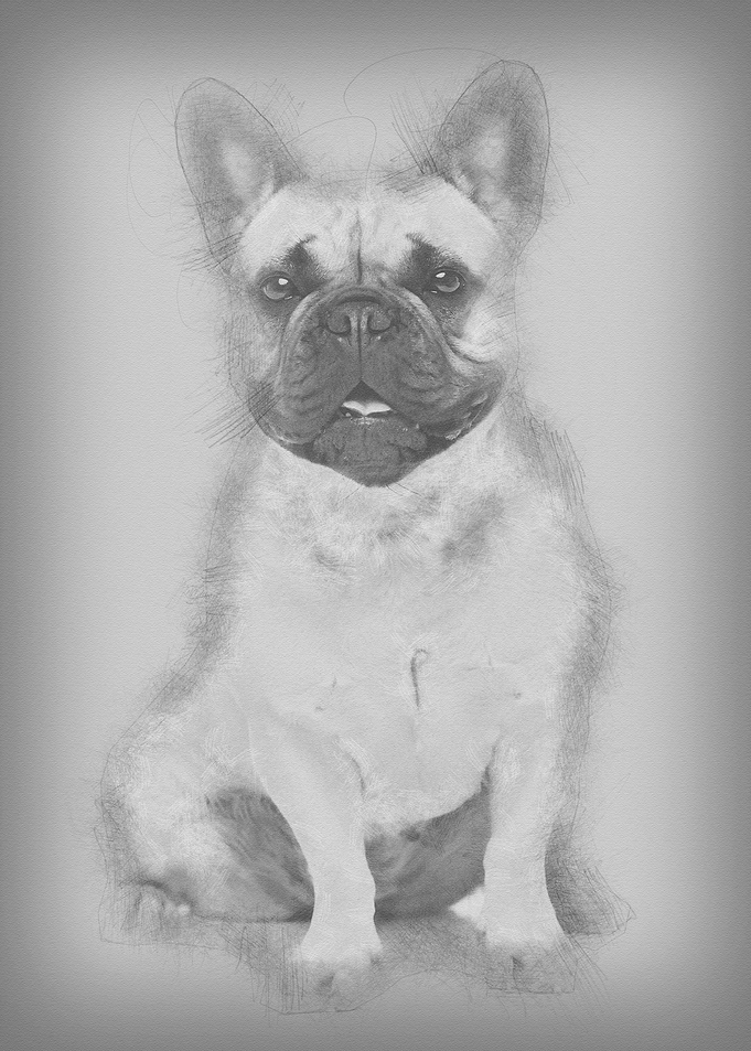 Portrait of beautiful youn