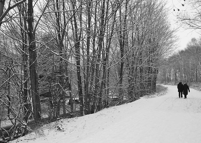 The Walk