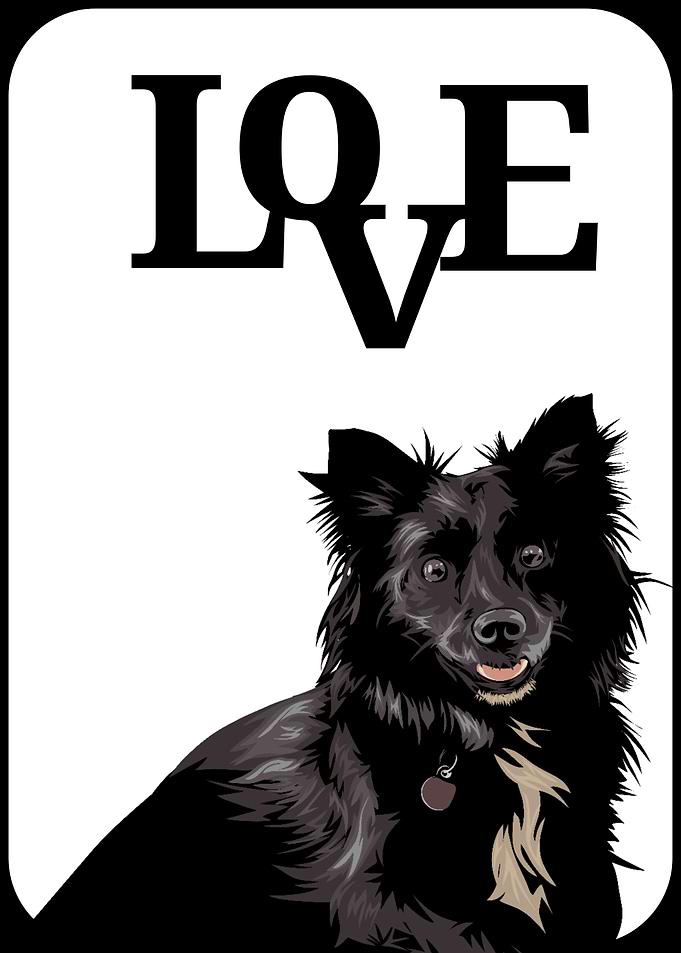 love Animals