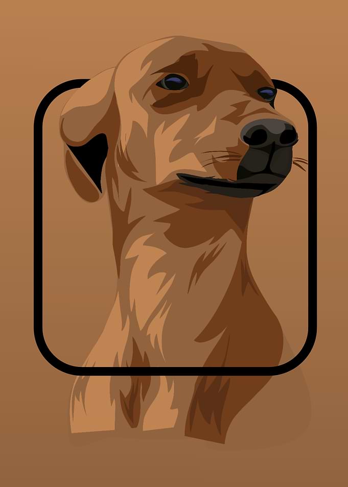 animal 1