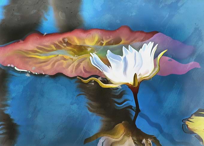 White Water Lily