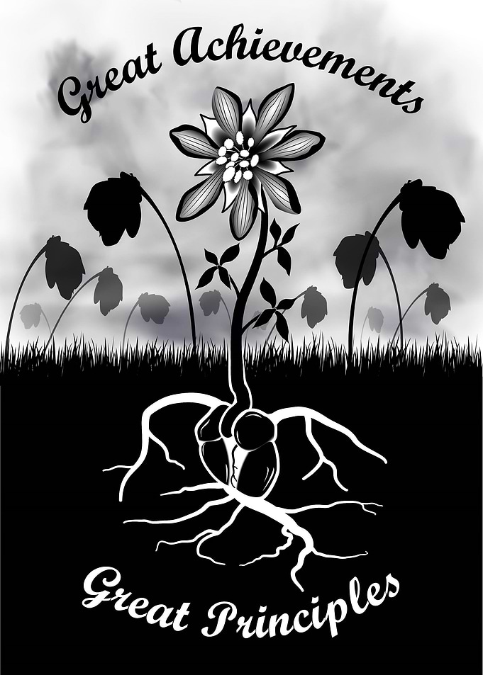 Heart Seed