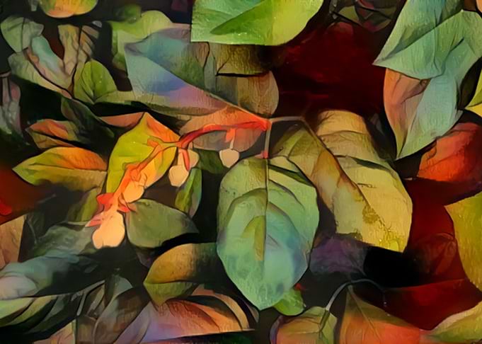Abstract Leaves and Branch