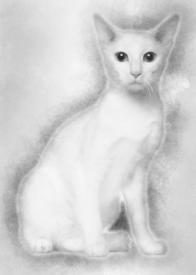 Portrait of Oriental Short