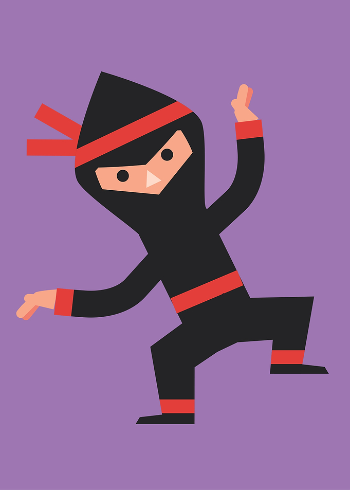 Ninja