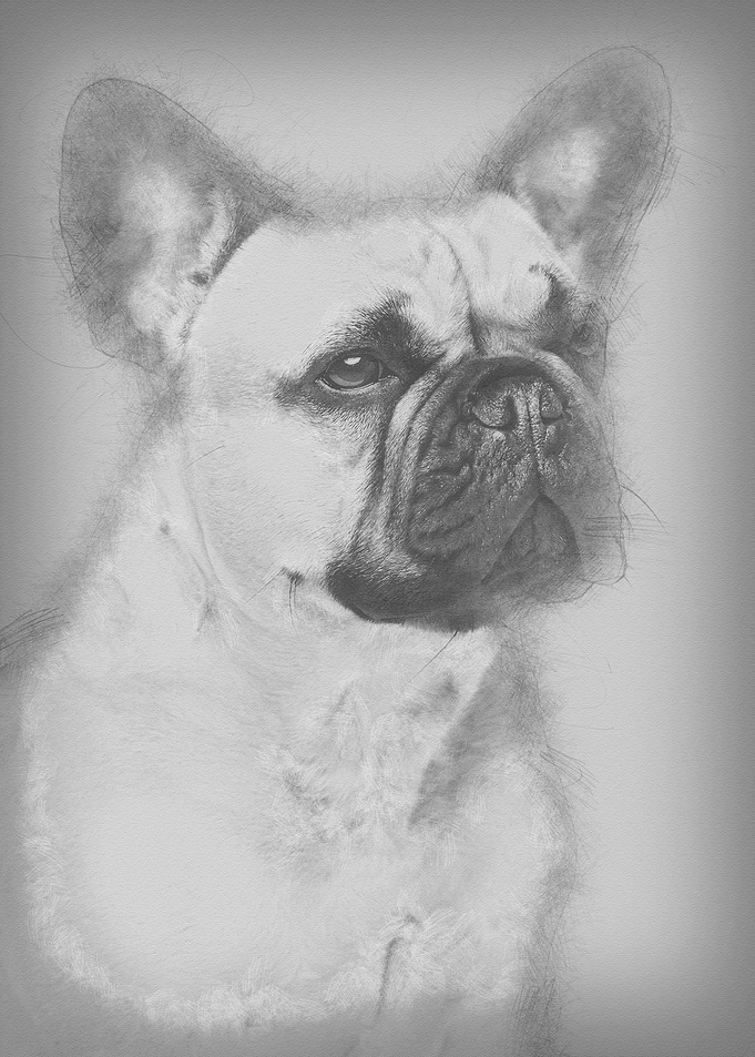 Portrait of beautiful youn