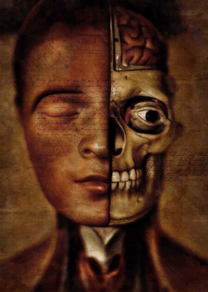 Skull sagittal view