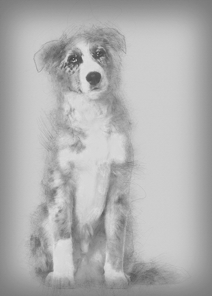 Portrait of Australian She