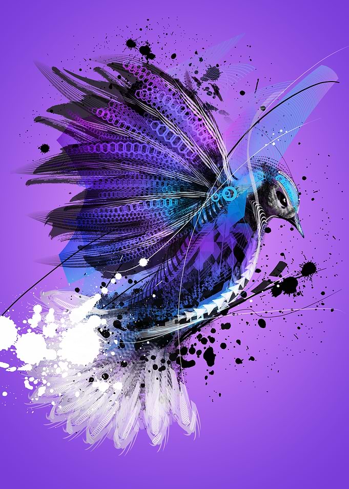 Bluejay