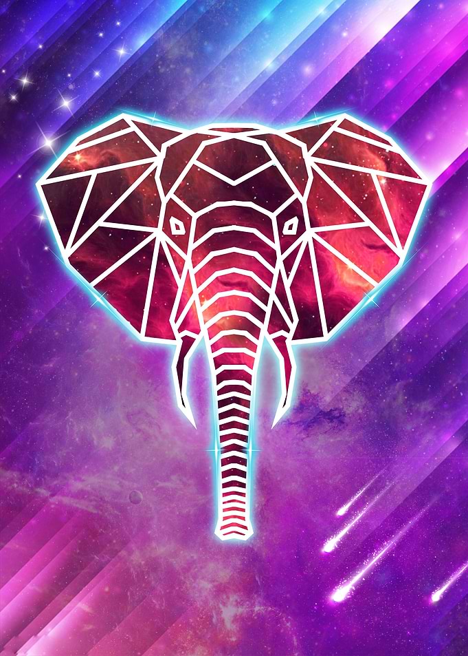 Polygon Galaxy Elephant