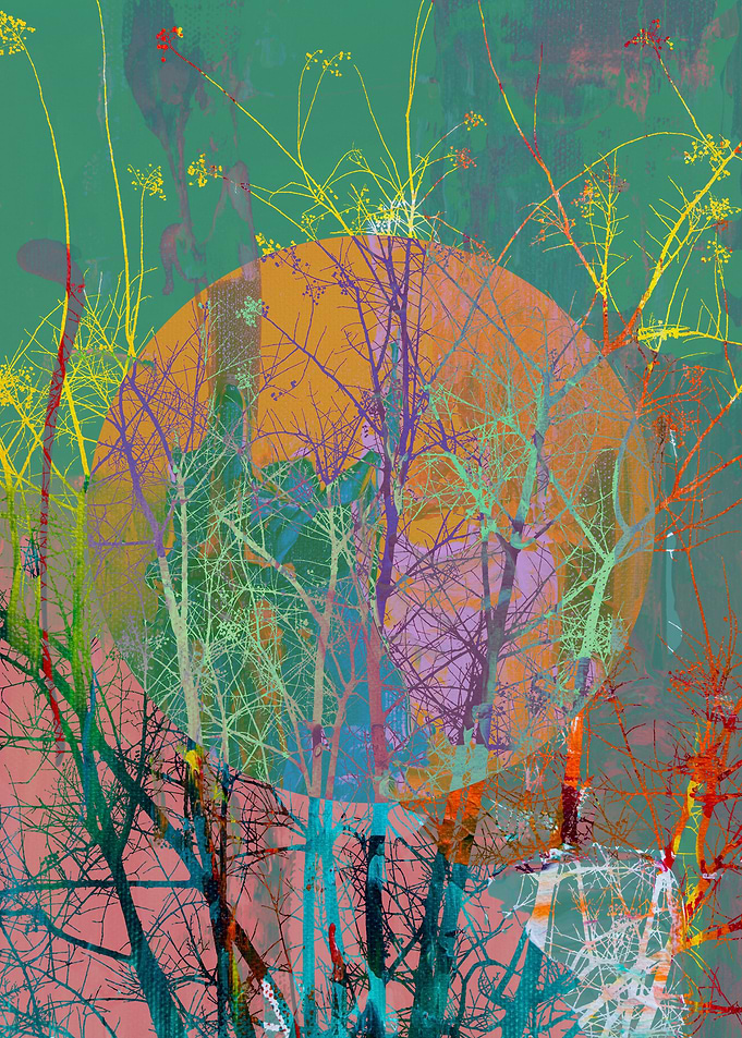 Painted Trees 3