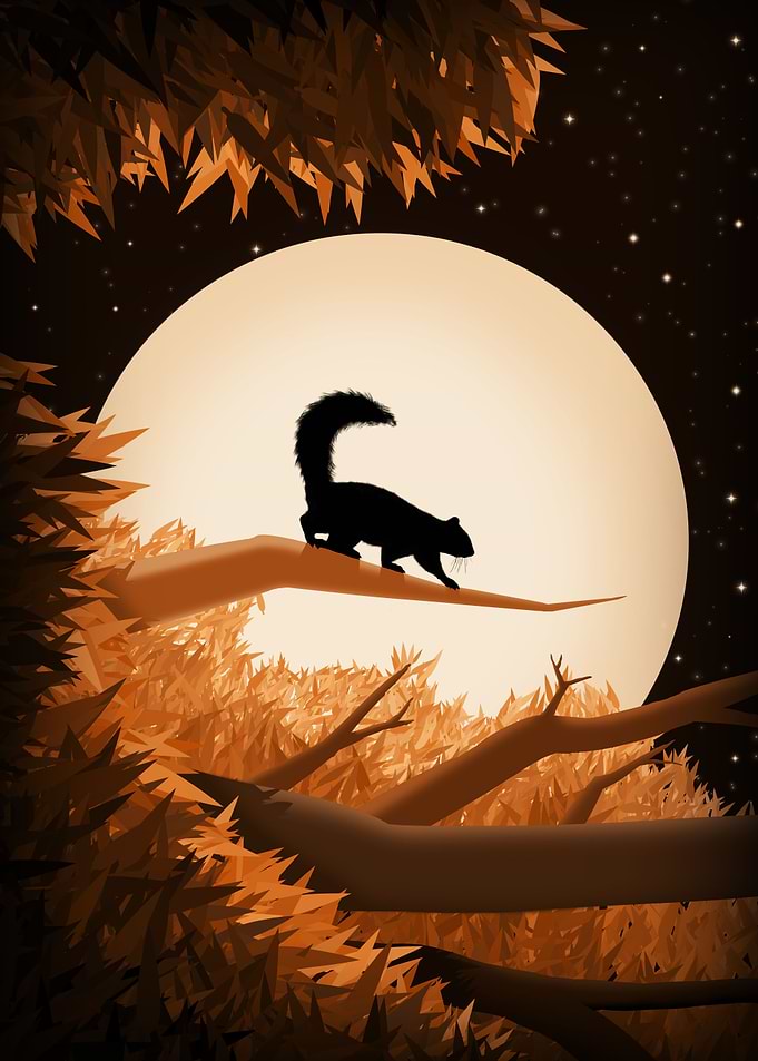 Squirrel over the moon