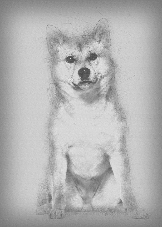 Shiba Inu sitting against