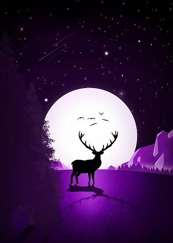 Deer over the moon