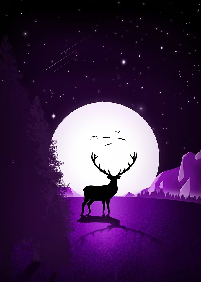 Deer over the moon