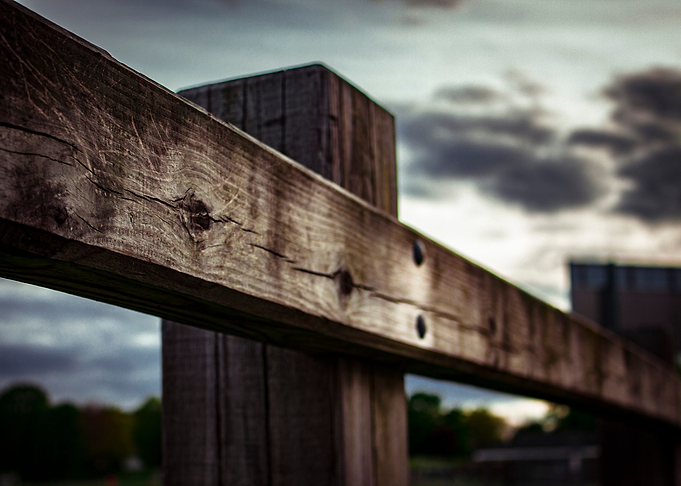 Wooden Post to The Next