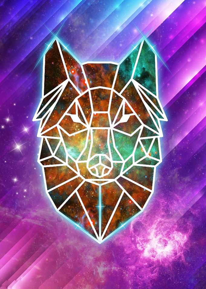 Polygon Wolf Galaxy
