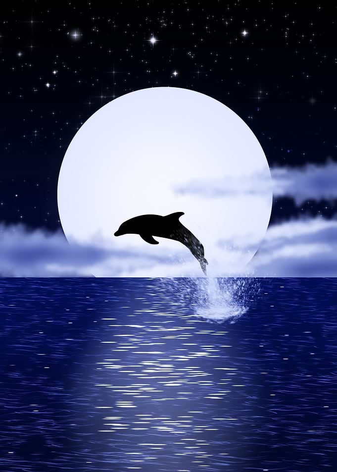 Dolphin over the moon