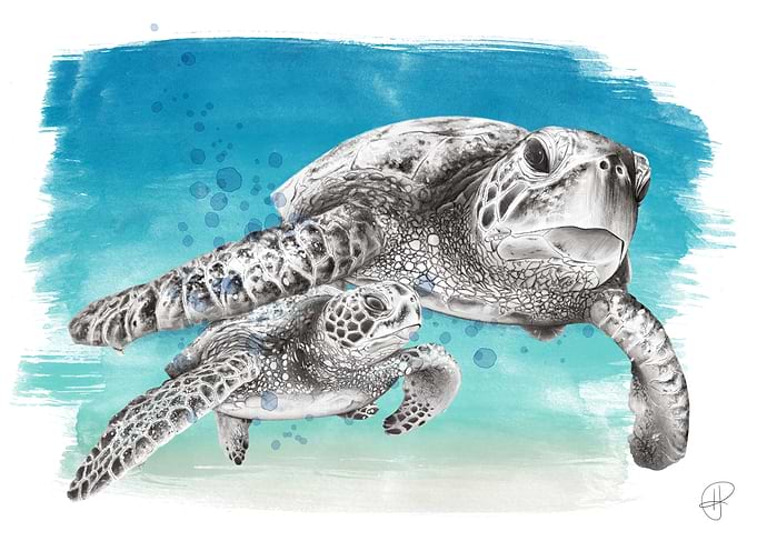 Sea Turtle