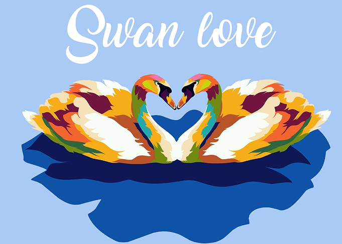 Swan Love
