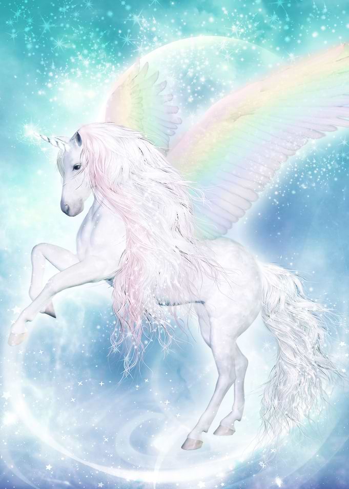 Rainbow Pegasus Unicorn