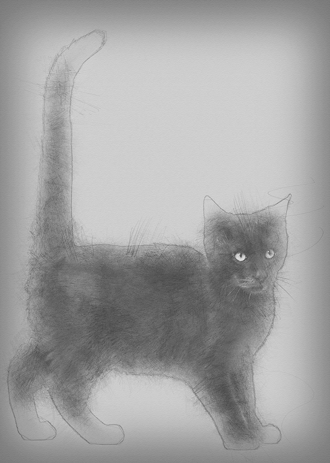 Mixedbreed black cat agai