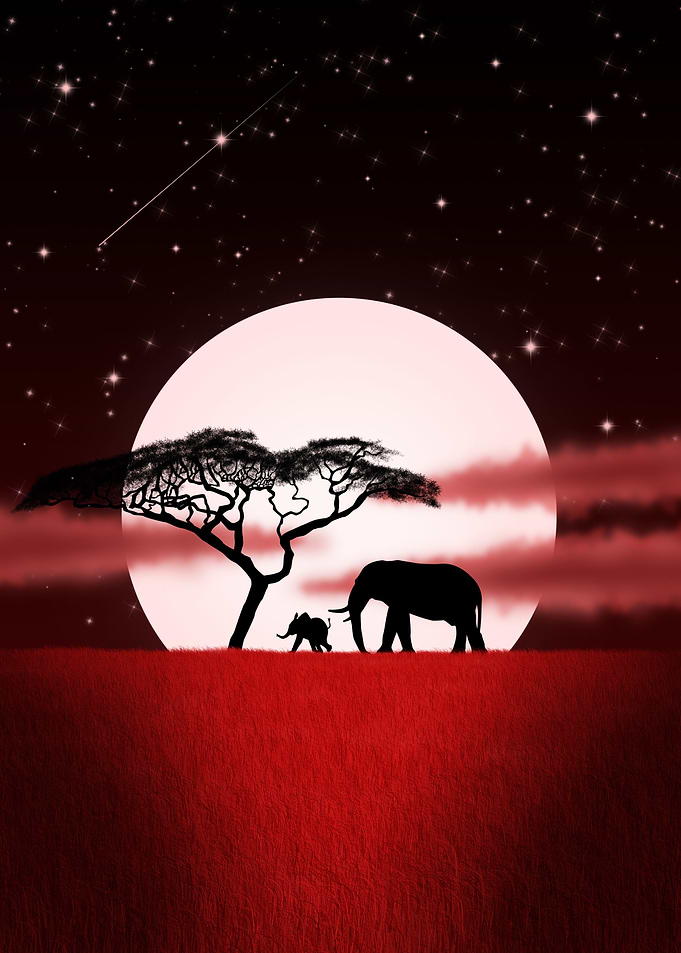 Elephants over the moon