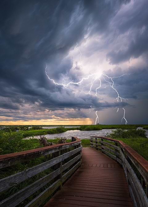 Tropical Storm