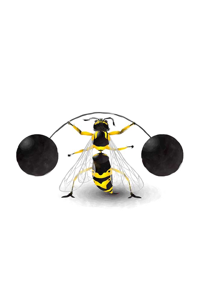 Super wasp