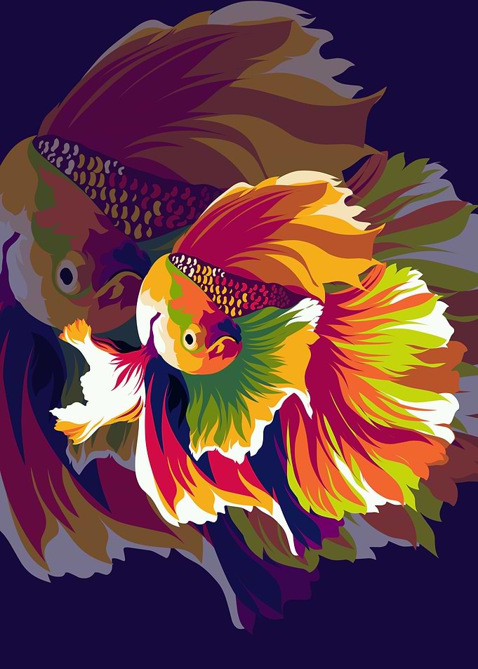 Koi Fish
