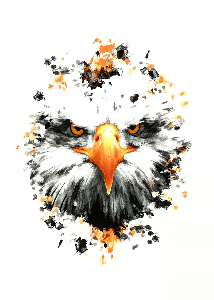 Angry Eagle