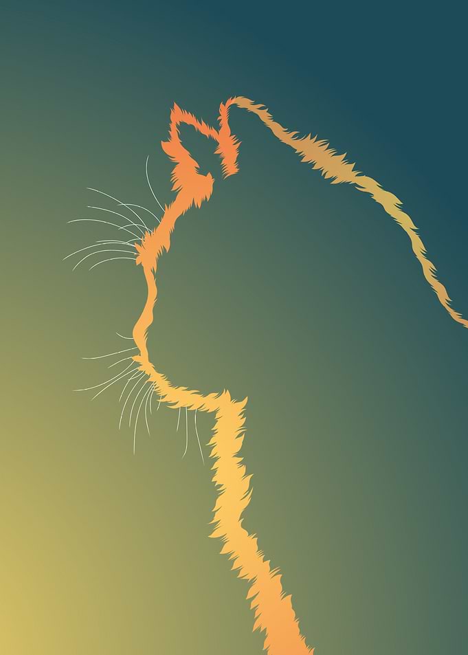 Flat Cat