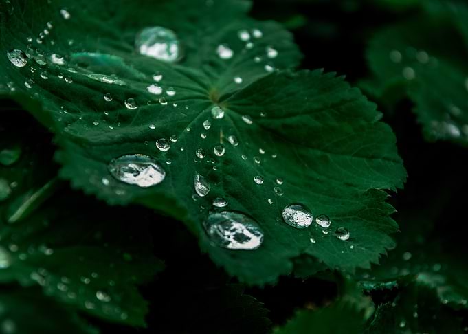 Waterdrop
