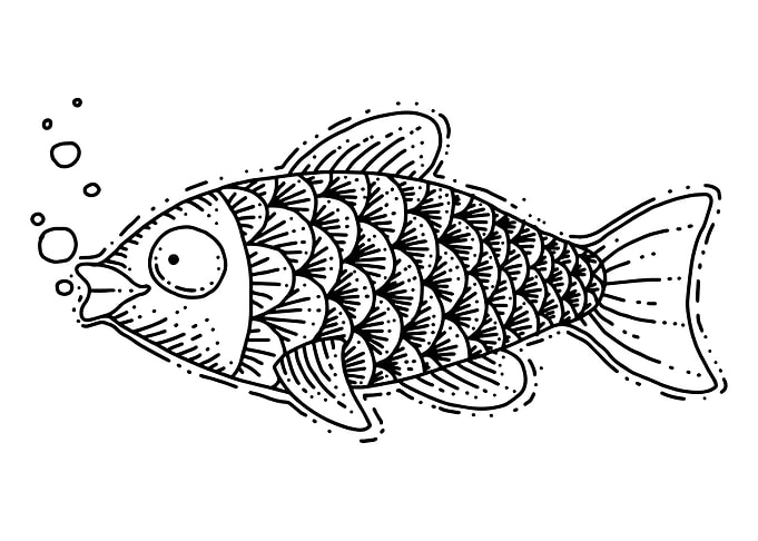 Goldfish