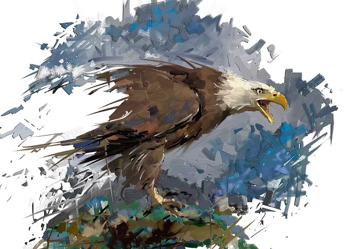 Eagle or Falcon