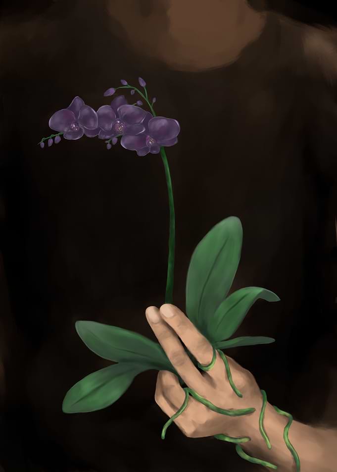 Orchid