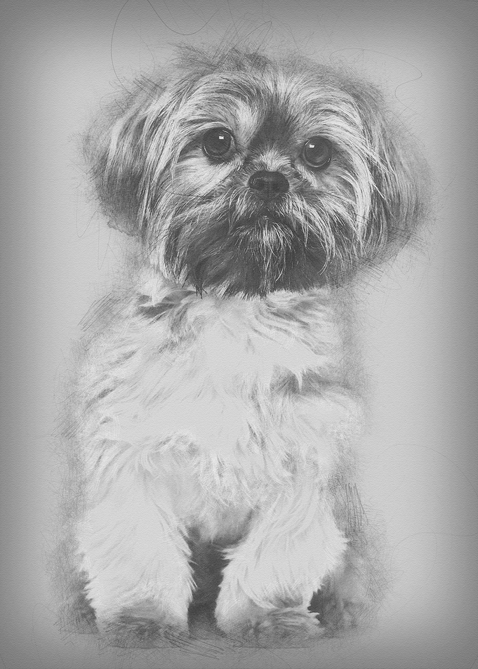 Mixedbreed dog 10 months