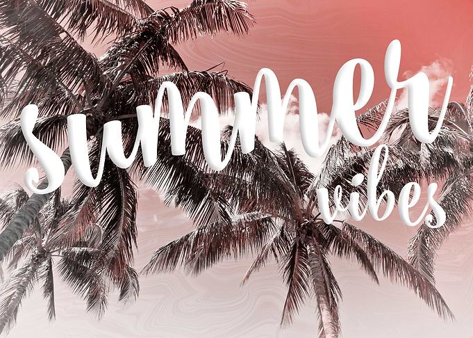PALM TREES Summer Vibes
