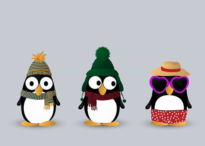 Ready penguins
