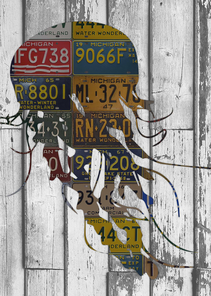 Jellyfish License Plate