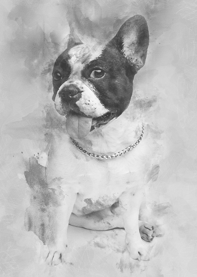 beautiful black and white